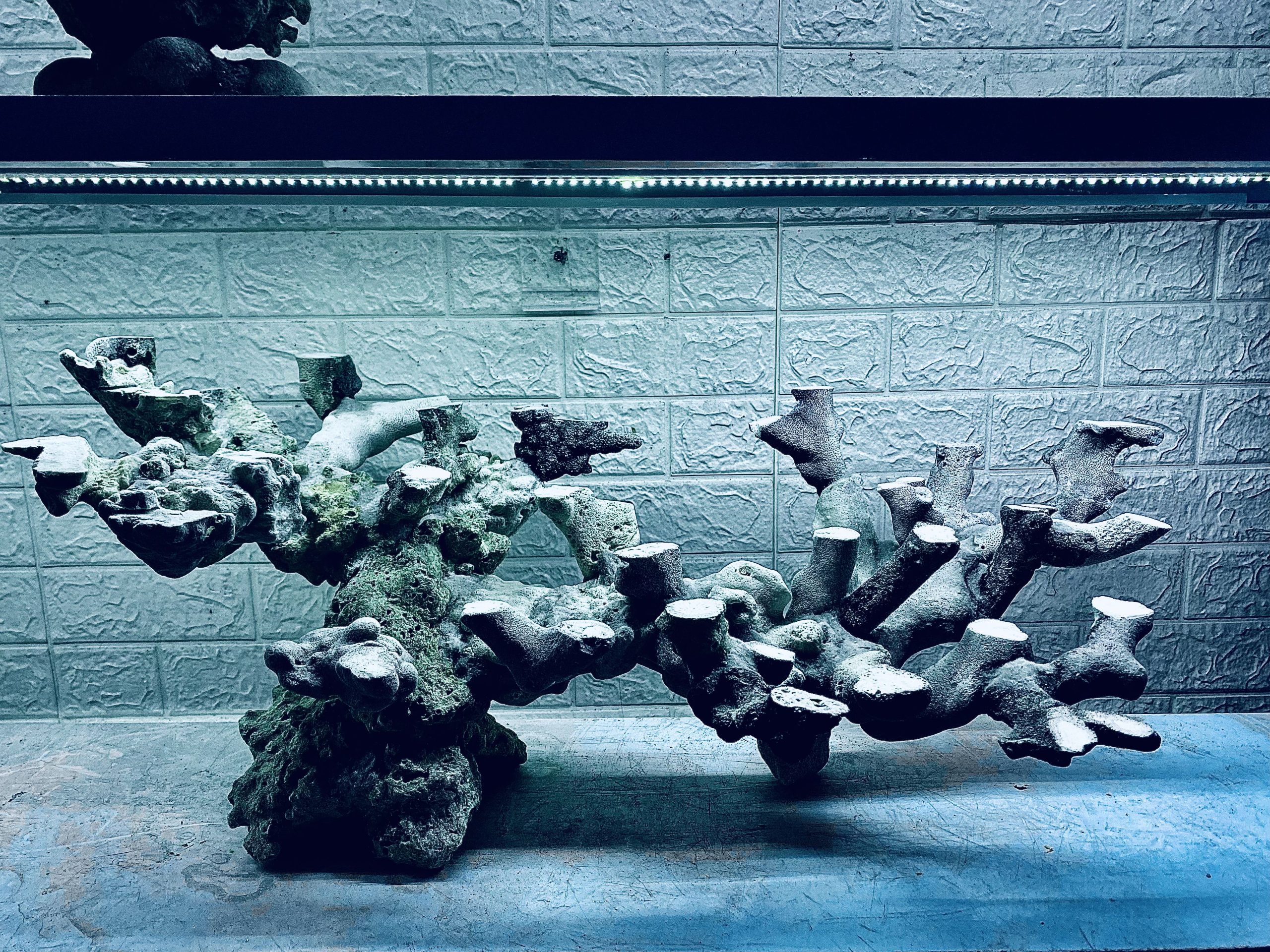 layout-ca-bien-royalaqua (713)