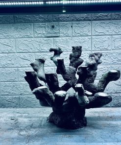 MÃ 433 – LAYOUT CÁ CẢNH BIỂN BỂ 40CM – CƯỜNG AQUARIUM