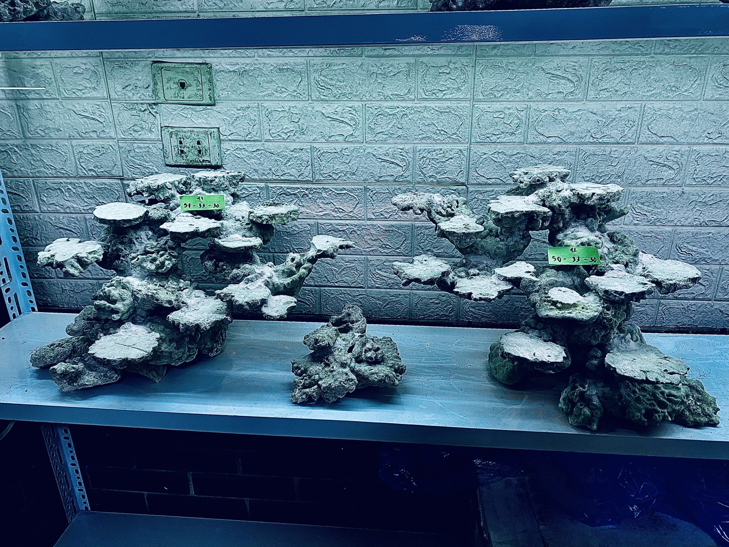 layout-ca-bien-royalaqua (72)