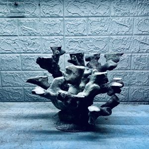 MÃ 435 – LAYOUT CÁ CẢNH BIỂN BỂ 40CM – CƯỜNG AQUARIUM