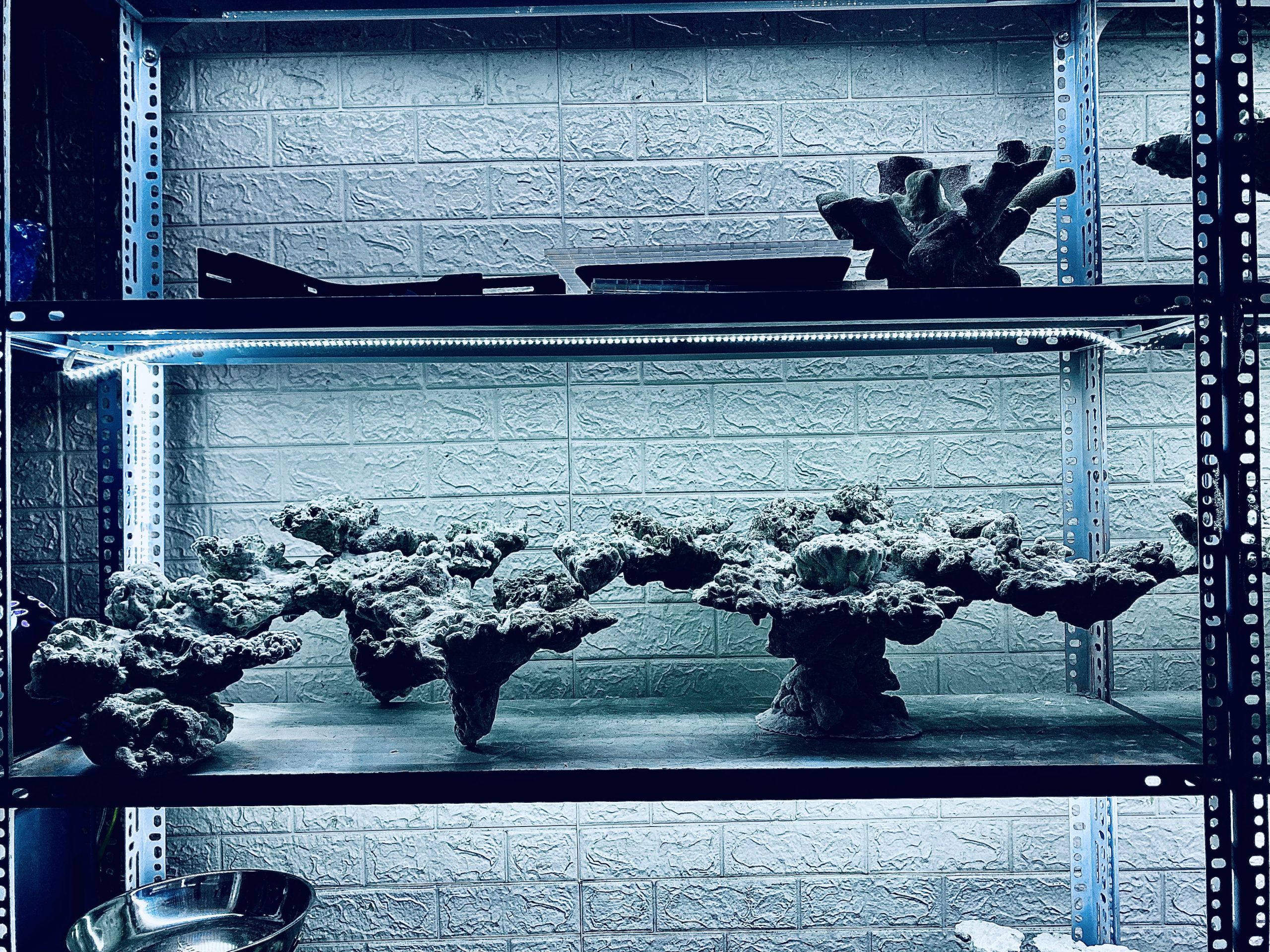 layout-ca-bien-royalaqua (743)