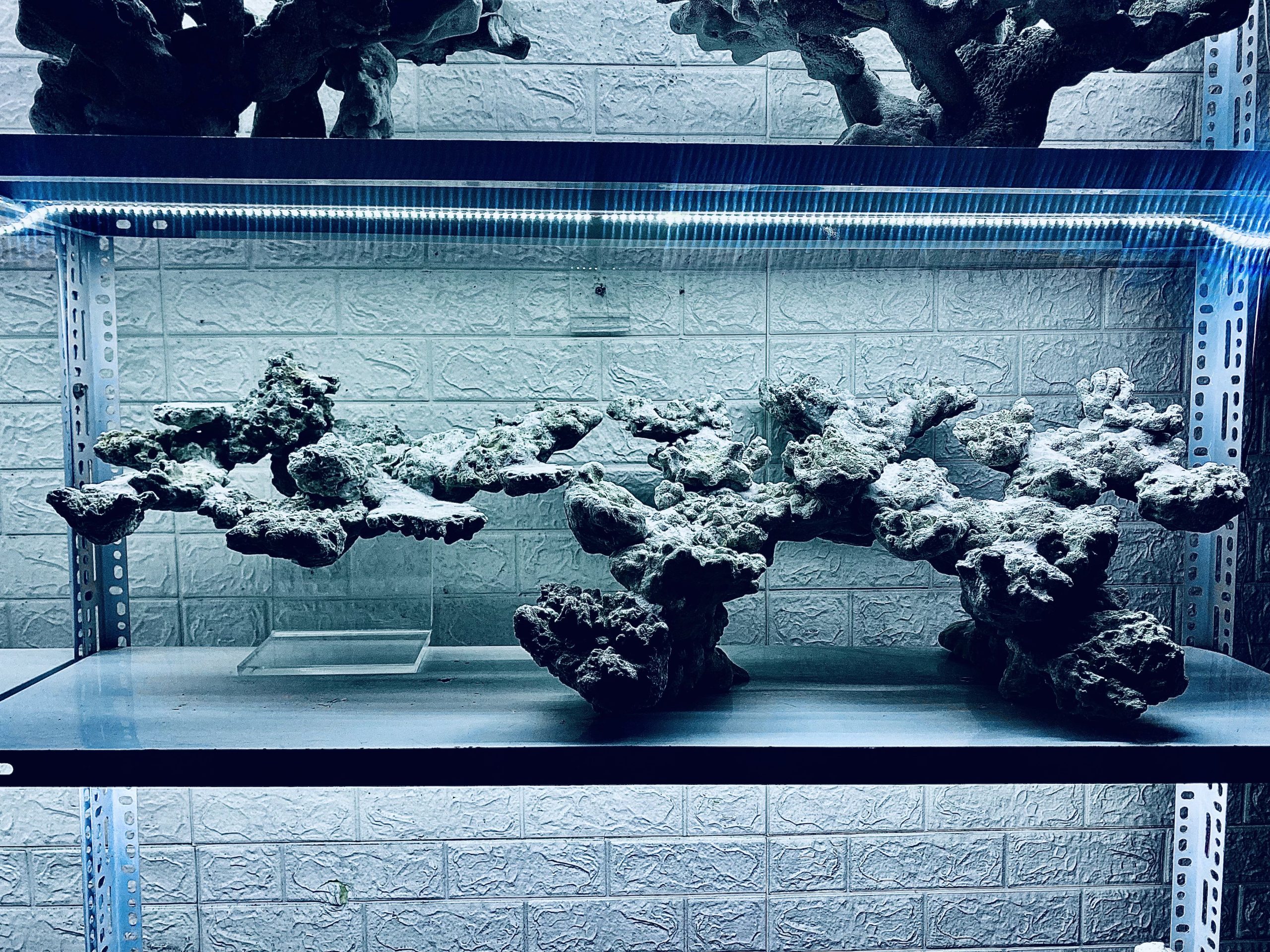 layout-ca-bien-royalaqua (769)