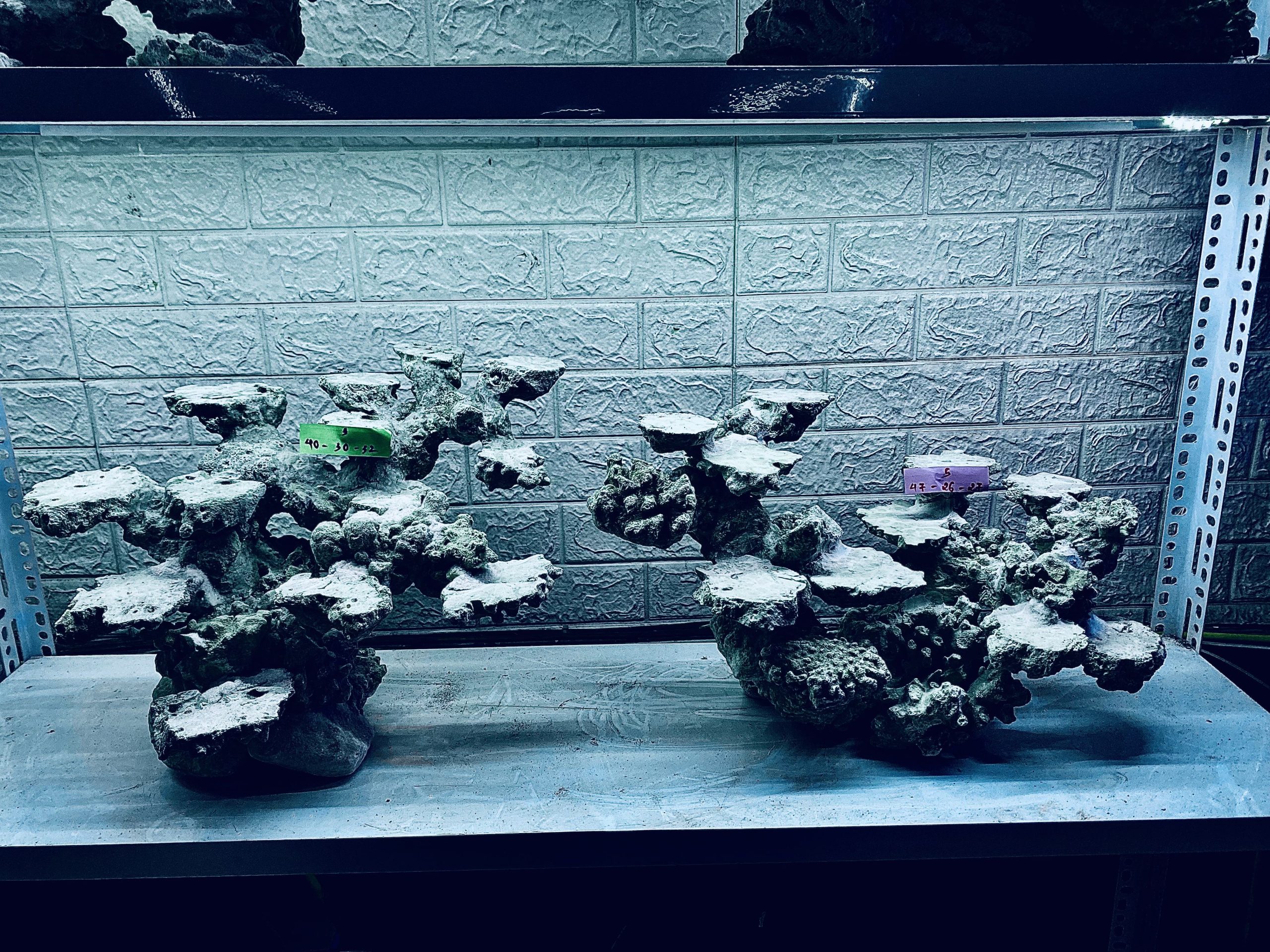 layout-ca-bien-royalaqua (77)