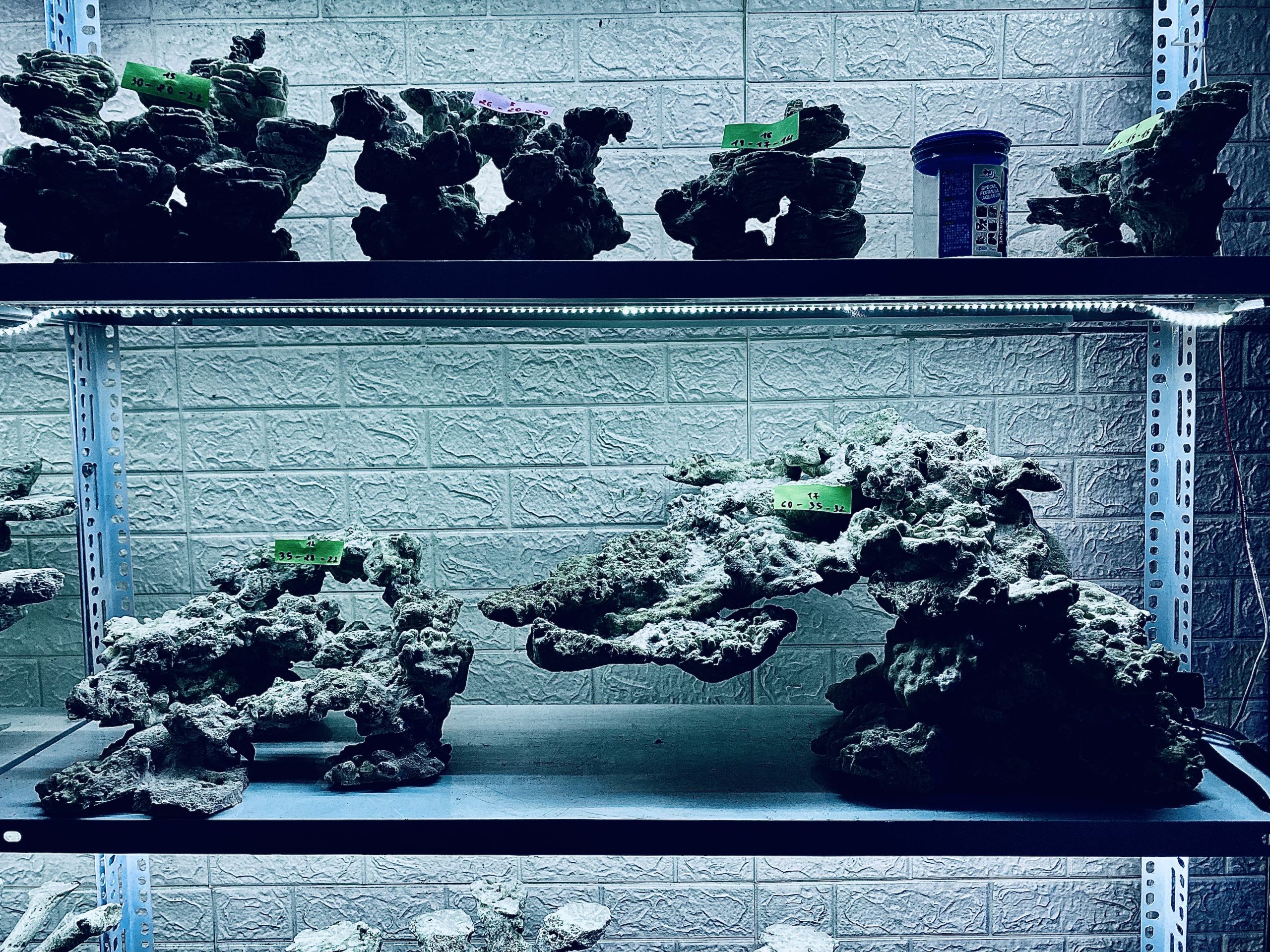 layout-ca-bien-royalaqua (78)