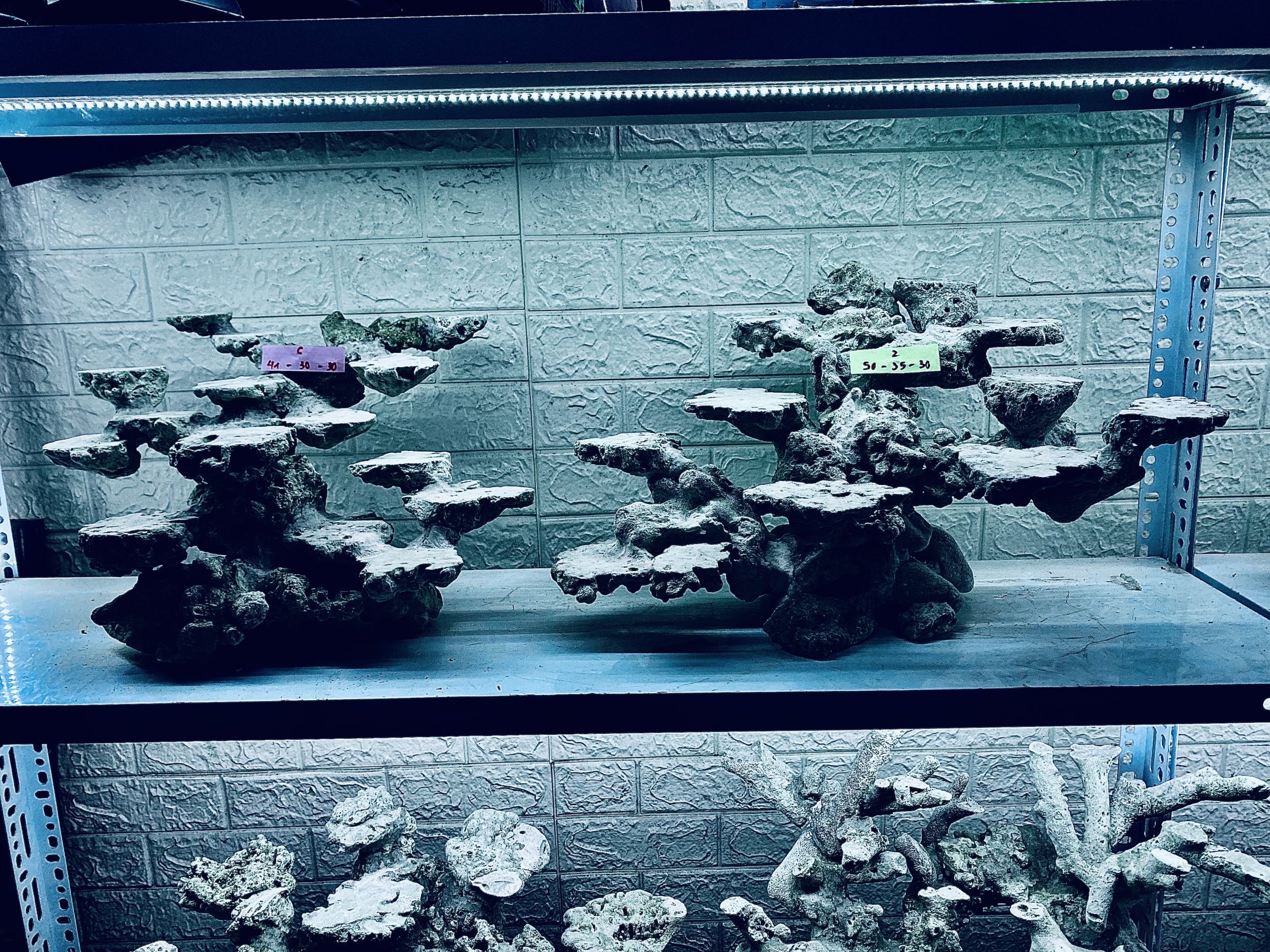 layout-ca-bien-royalaqua (79)