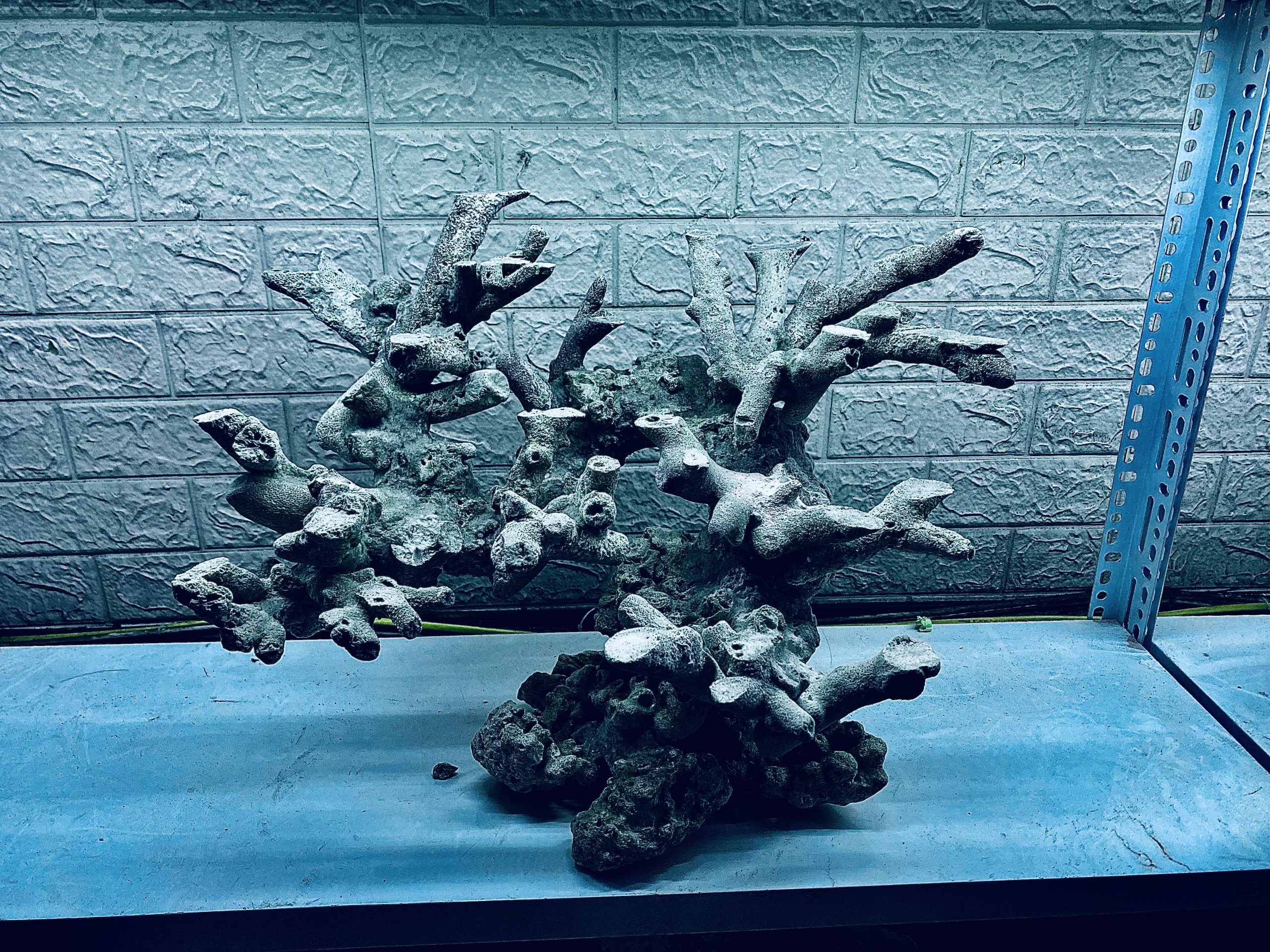 layout-ca-bien-royalaqua (80)