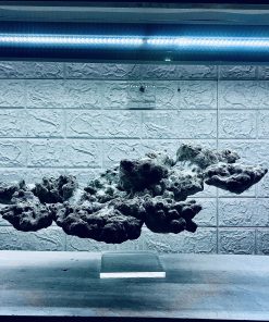 MÃ 445 – LAYOUT BAY CÁ CẢNH BIỂN BỂ 60CM – CƯỜNGAQUARIUM