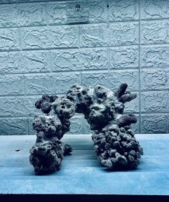 MÃ 446 – LAYOUT CÁ CẢNH BIỂN BỂ 30CM – CƯỜNGAQUARIUM