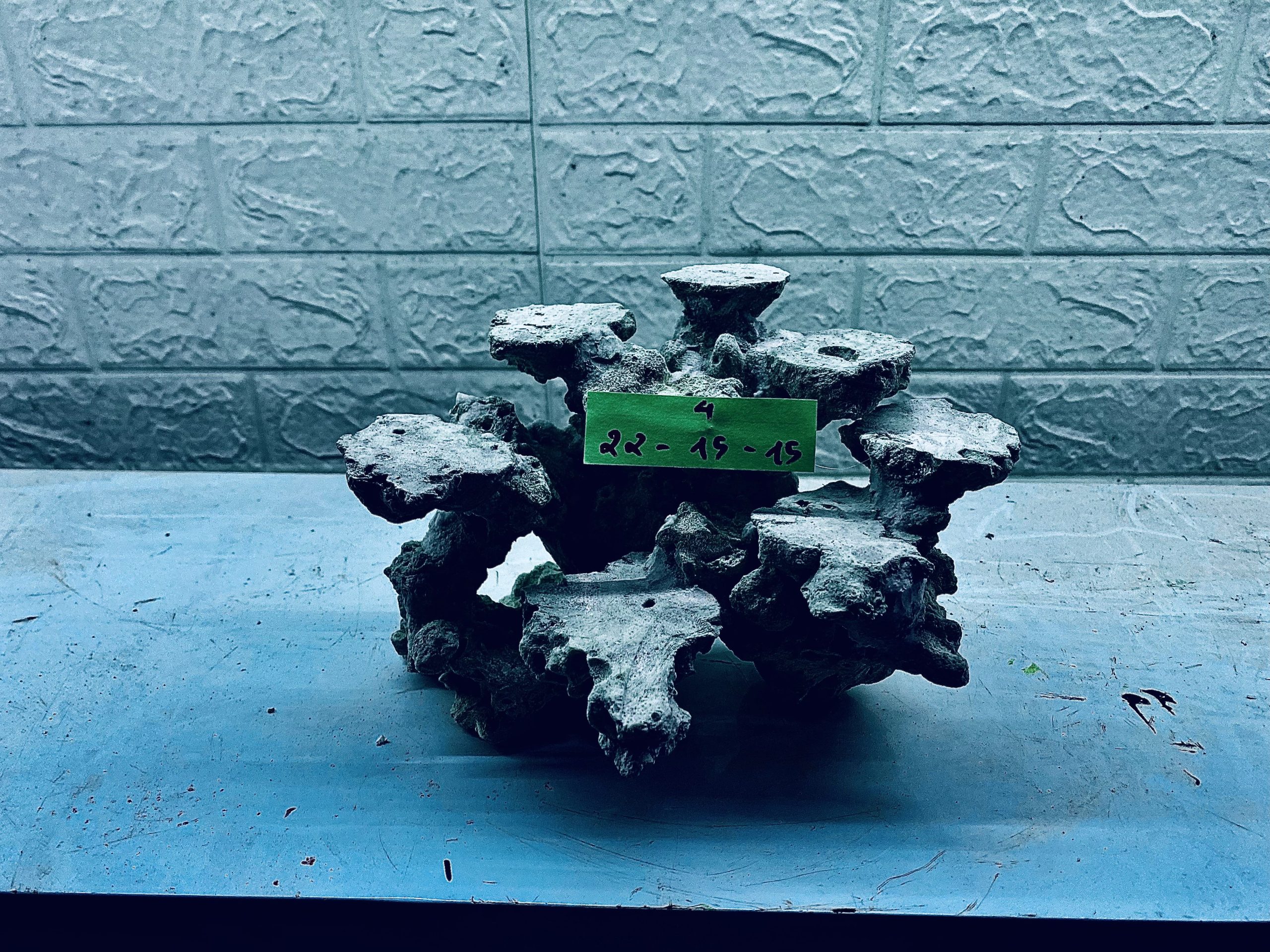 layout-ca-bien-royalaqua (83)