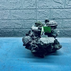 MÃ 275 - LAYOUT CÁ BIỂN BỂ 30CM - ROYALAQUA