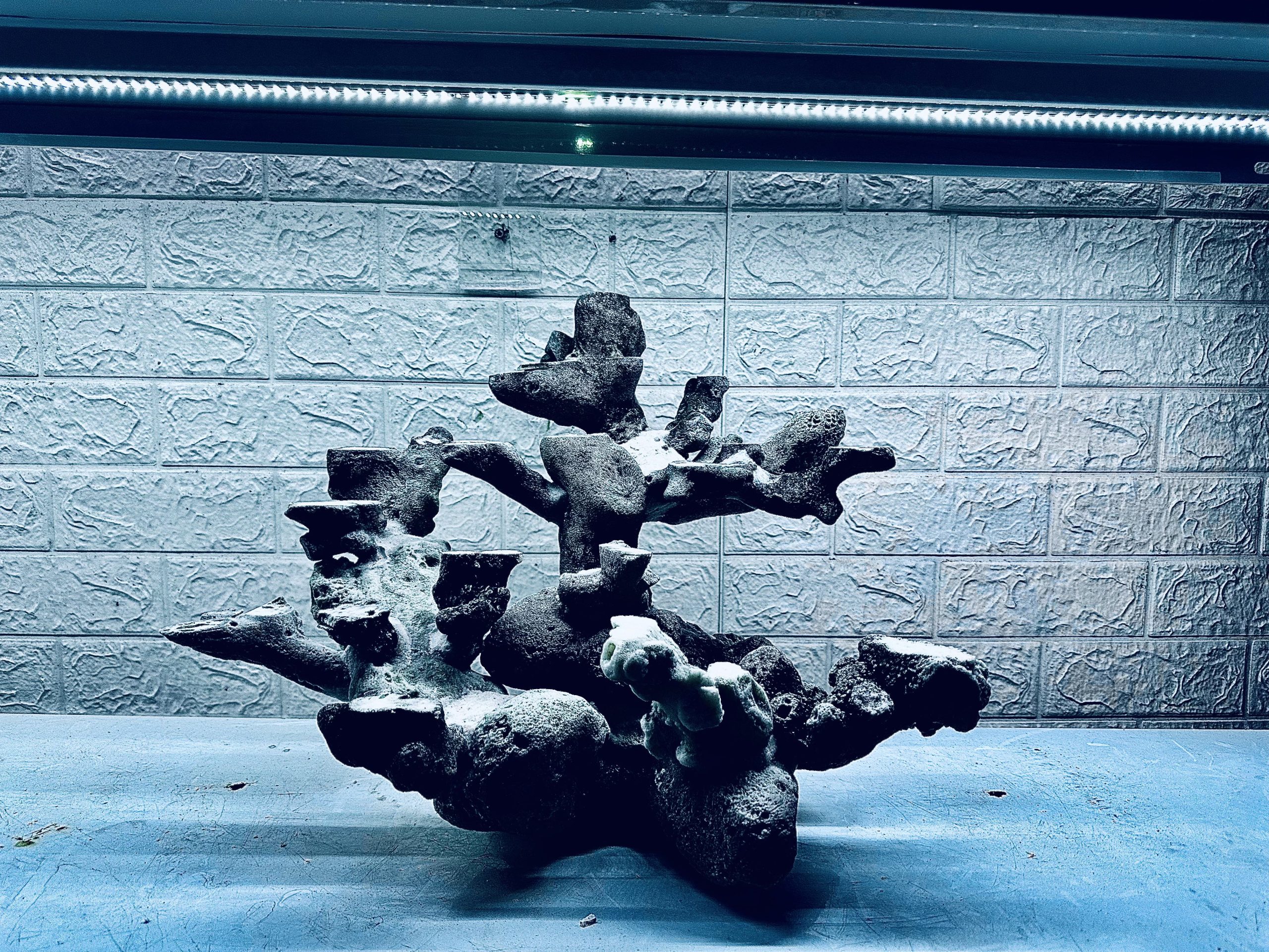 layout-ca-bien-royalaqua (842)