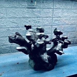 MÃ 450 – LAYOUT CÁ CẢNH BIỂN BỂ 40CM – CƯỜNGAQUARIUM
