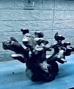 MÃ 450 – LAYOUT CÁ CẢNH BIỂN BỂ 40CM – CƯỜNGAQUARIUM