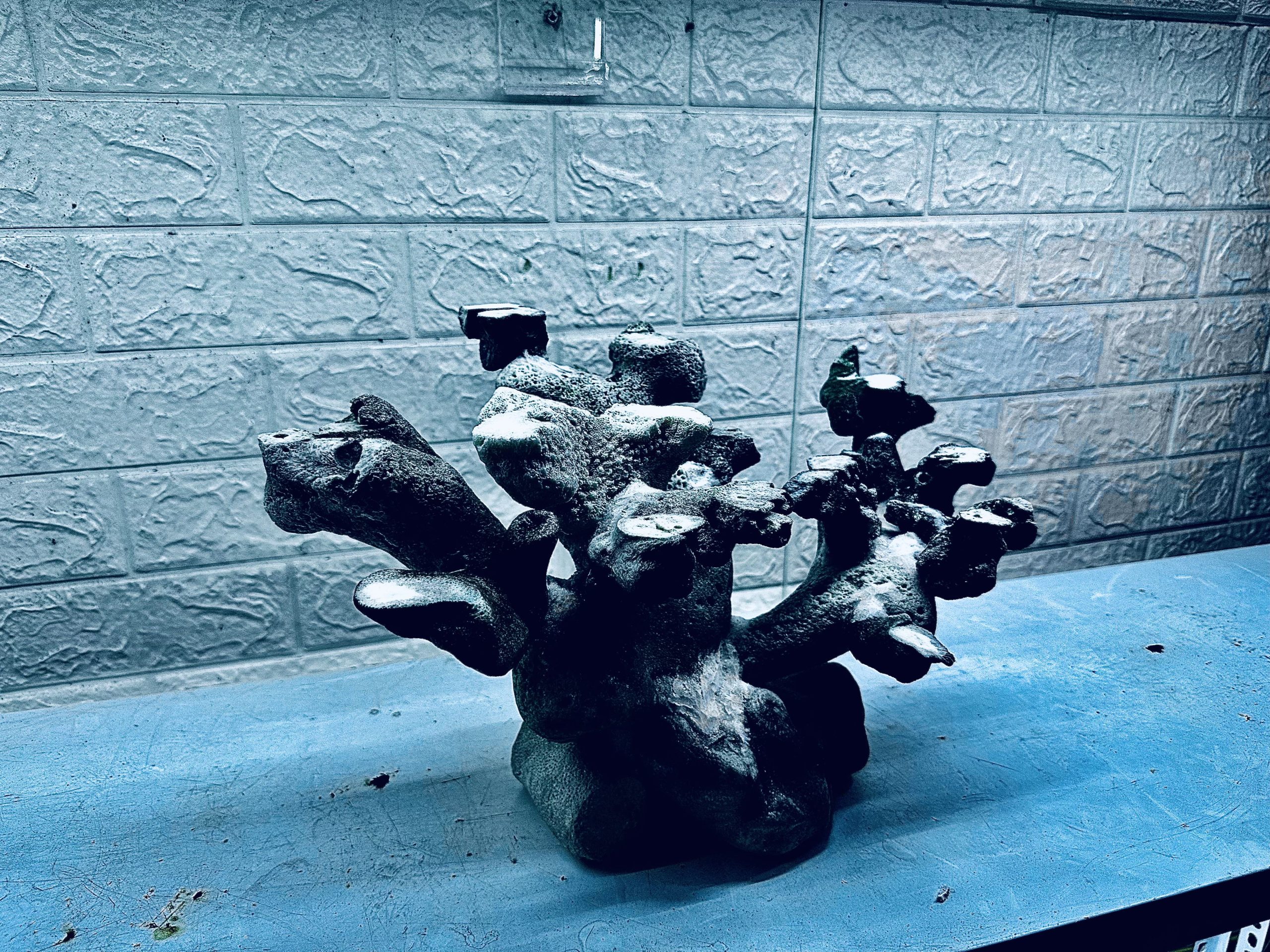 layout-ca-bien-royalaqua (849)