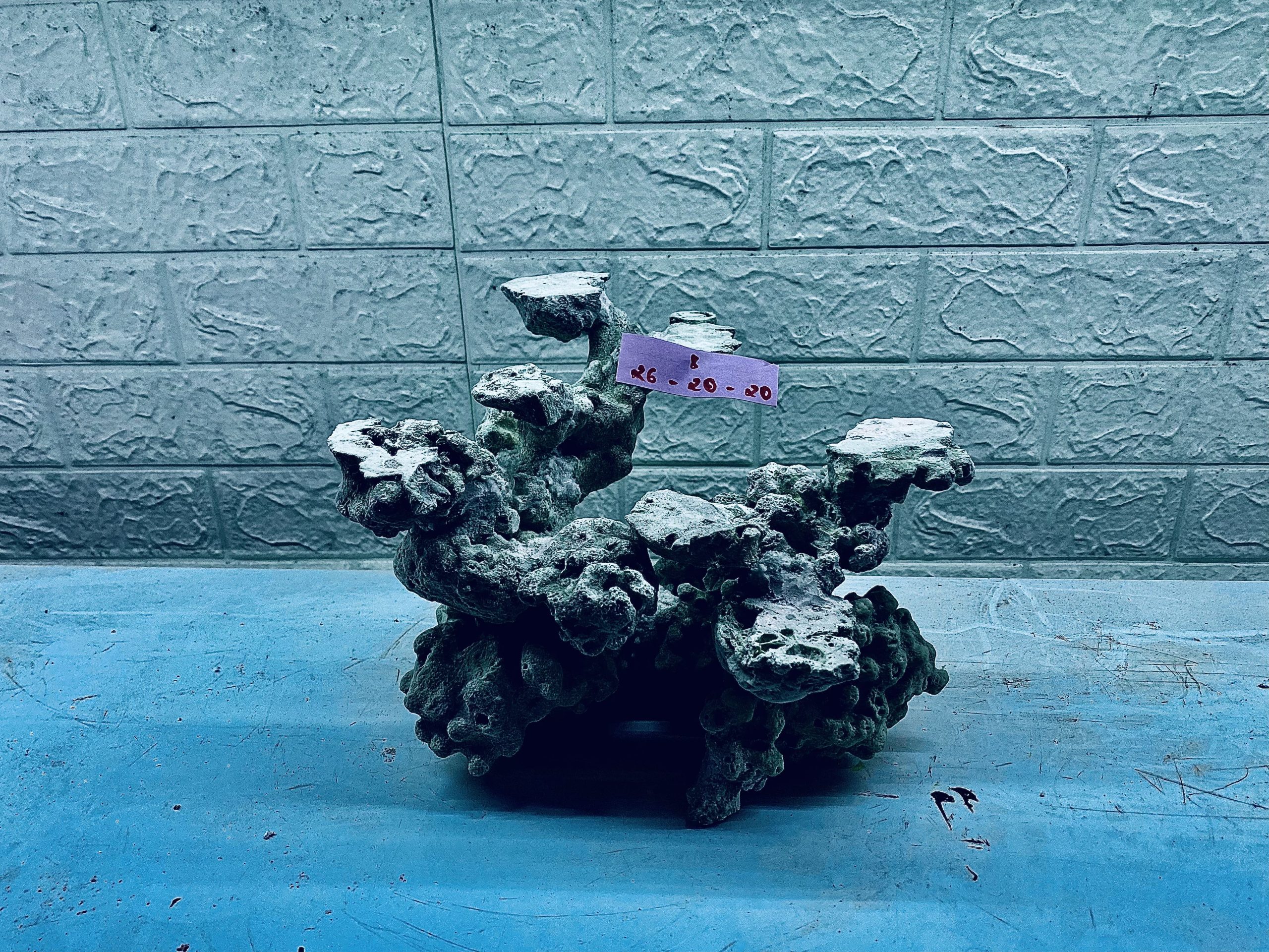 layout-ca-bien-royalaqua (85)