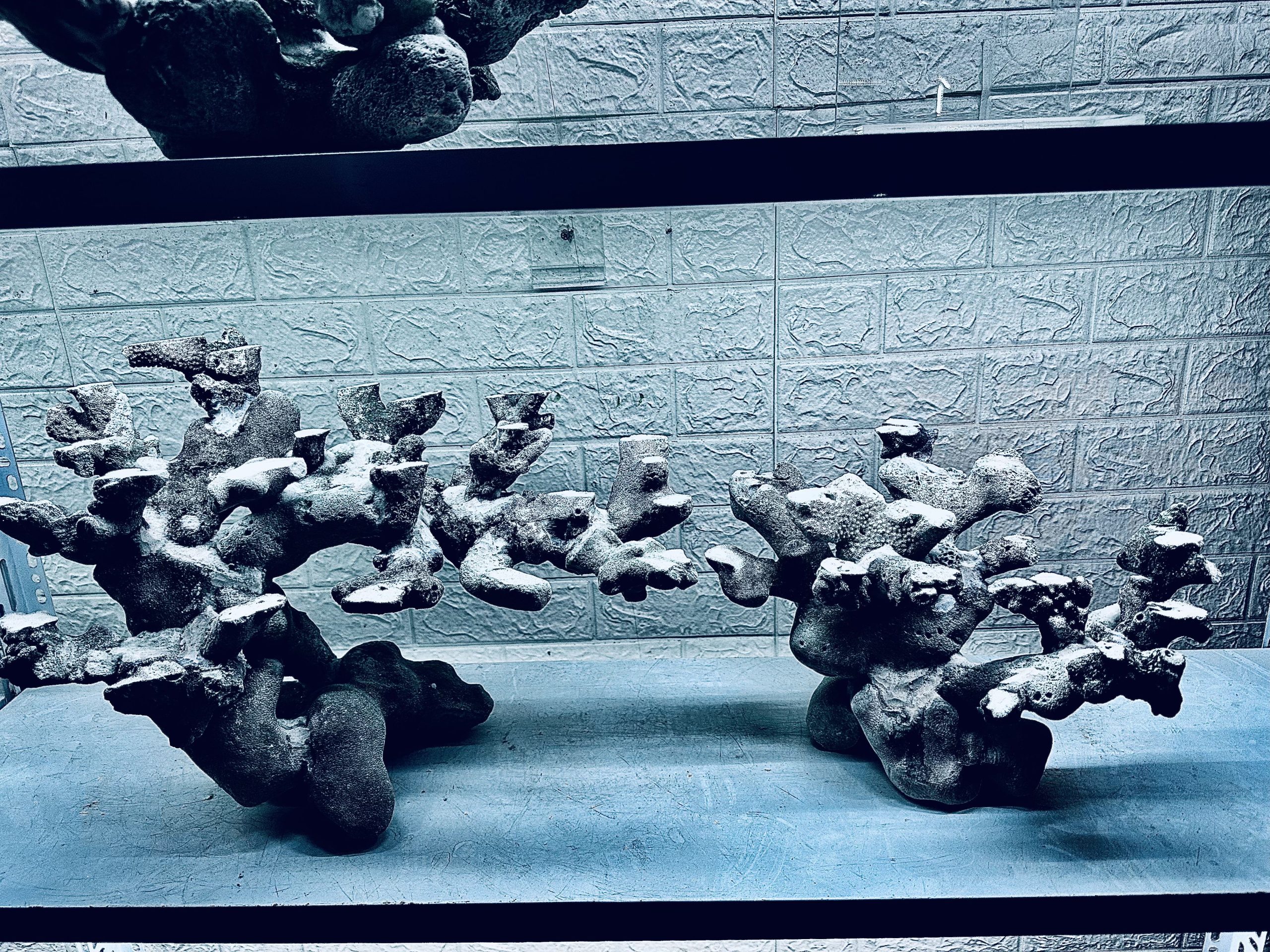 layout-ca-bien-royalaqua (856)