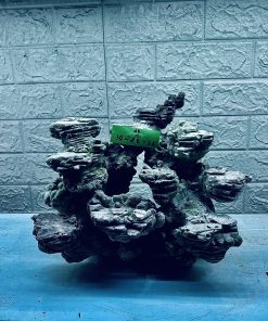 MÃ 277 - LAYOUT CÁ CẢNH BIỂN BỂ 40CM - ROYALAQUA