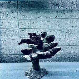 MÃ 454 – LAYOUT CÁ CẢNH BIỂN BỂ 30CM – CƯỜNGAQUARIUM