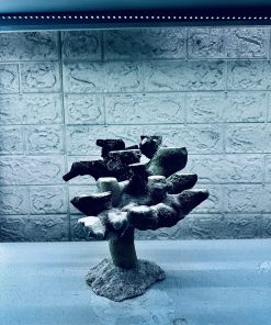 MÃ 454 – LAYOUT CÁ CẢNH BIỂN BỂ 30CM – CƯỜNGAQUARIUM