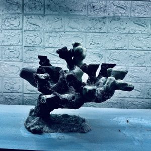 MÃ 455 – LAYOUT CÁ CẢNH BIỂN BỂ 50CM – CƯỜNGAQUARIUM