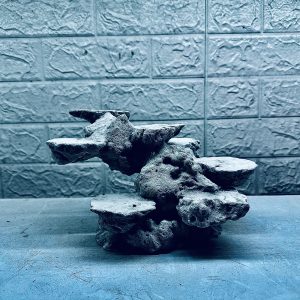 MÃ 459 – LAYOUT CÁ CẢNH BIỂN BỂ 40CM – CƯỜNGAQUARIUM