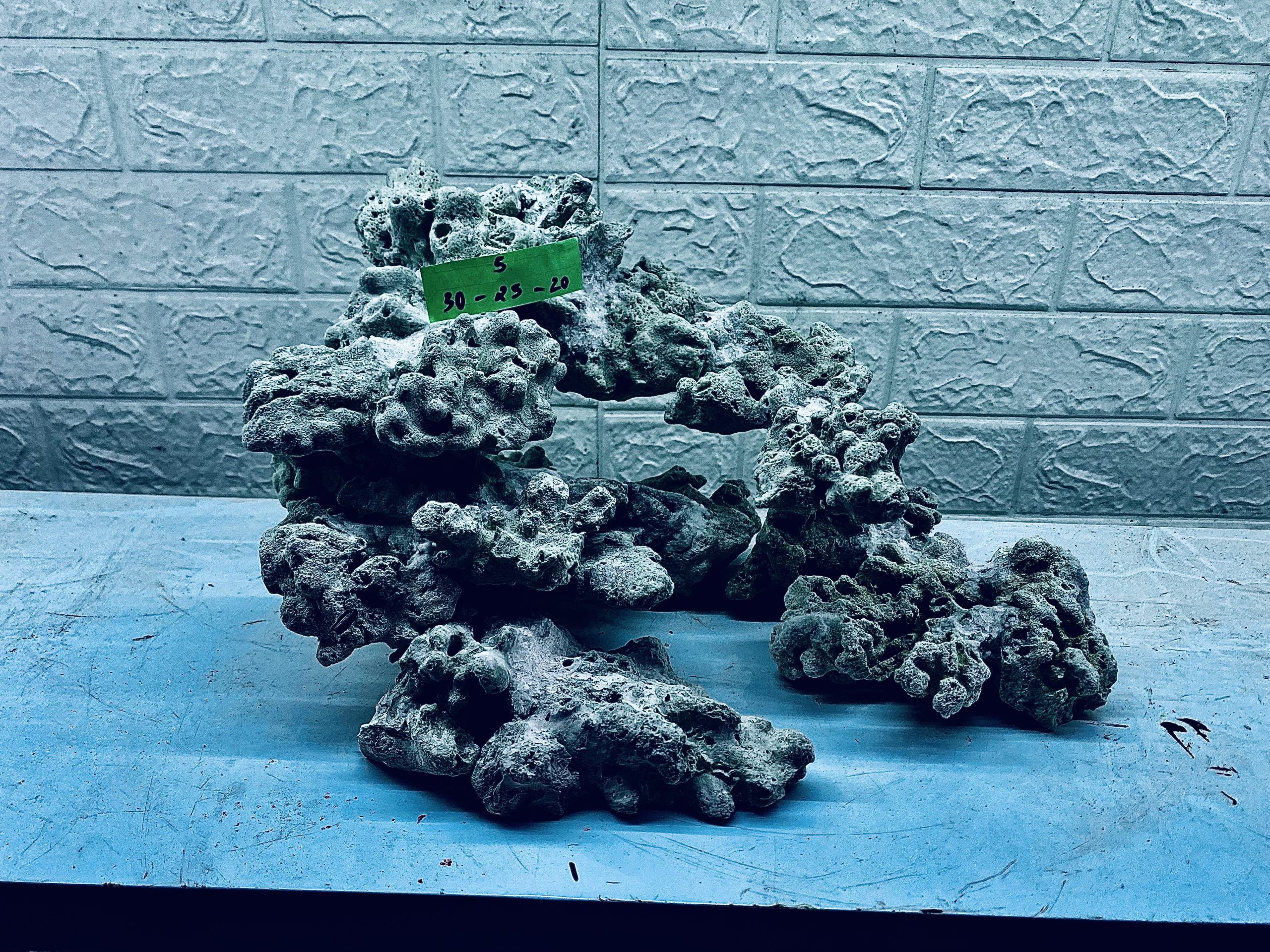 layout-ca-bien-royalaqua (89)