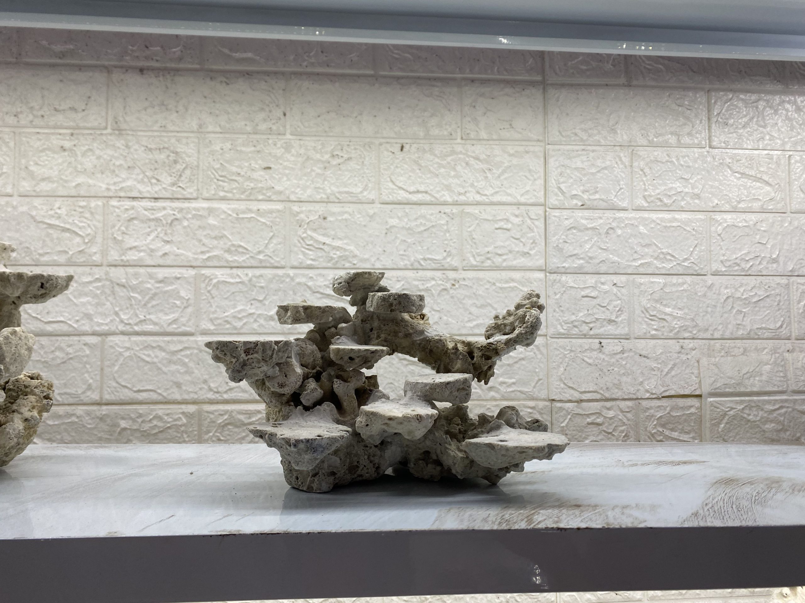 layout-ca-bien-royalaqua (9)