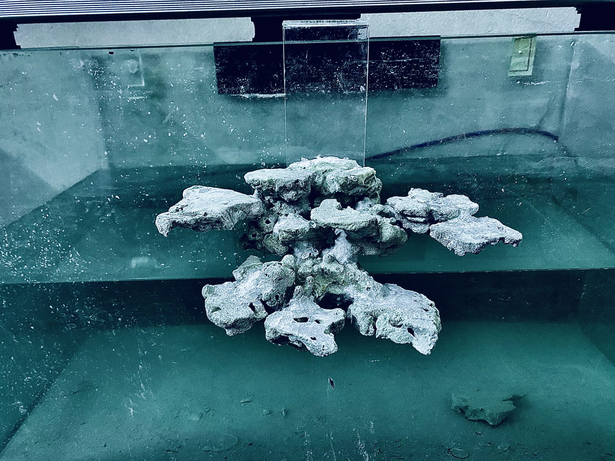 layout-ca-bien-royalaqua (91)