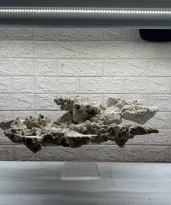 MÃ 464 – LAYOUT BAY CÁ CẢNH BIỂN BỂ 60CM – CƯỜNGAQUARIUM