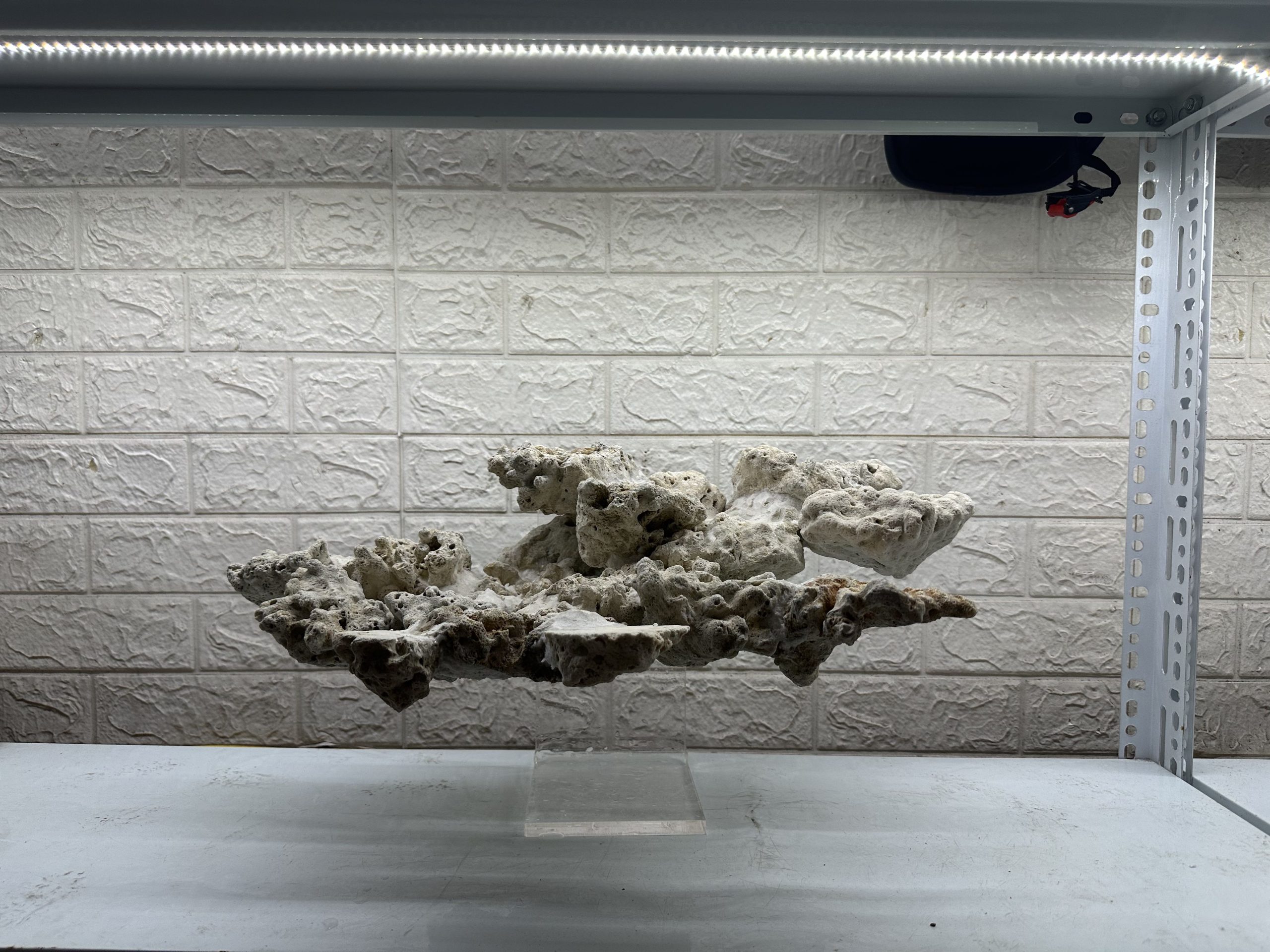 MÃ 464 – LAYOUT BAY CÁ CẢNH BIỂN BỂ 60CM – CƯỜNGAQUARIUM