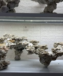 MÃ 466 – LAYOUT CÁ CẢNH BIỂN BỂ 120CM – CƯỜNGAQUARIUM