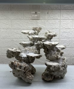 MÃ 467 – LAYOUT CÁ CẢNH BIỂN BỂ 30CM – CƯỜNGAQUARIUM