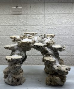 MÃ 471 – LAYOUT CÁ CẢNH BIỂN BỂ 30CM – CƯỜNGAQUARIUM