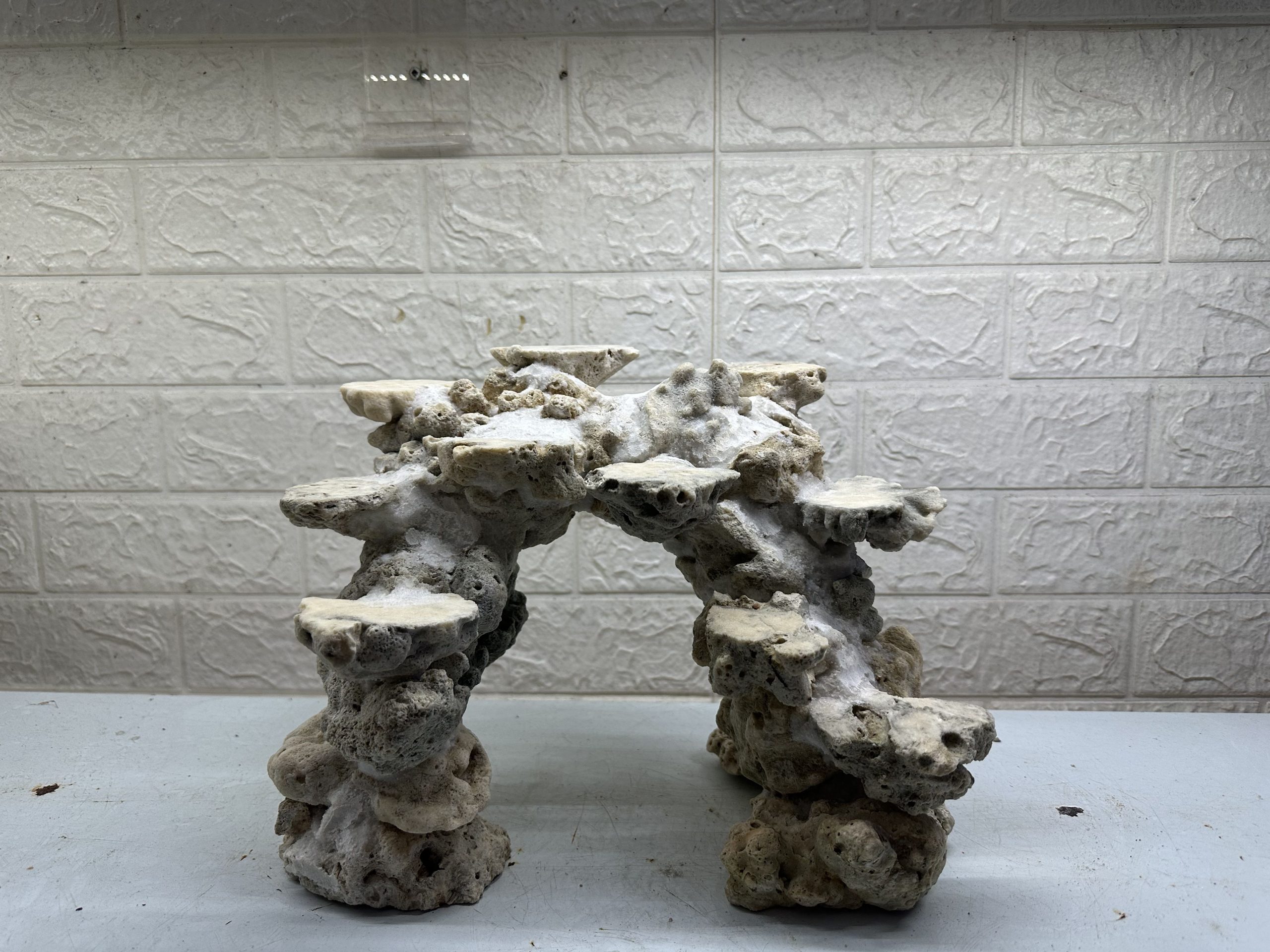 MÃ 471 – LAYOUT CÁ CẢNH BIỂN BỂ 30CM – CƯỜNGAQUARIUM