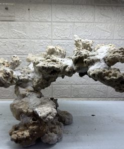 MÃ 474 – LAYOUT CÁ CẢNH BIỂN BỂ 90CM – CƯỜNGAQUARIUM