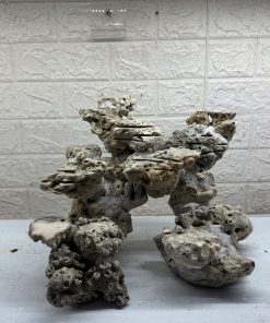 MÃ 475 – LAYOUT CÁ CẢNH BIỂN BỂ 30CM – CƯỜNGAQUARIUM