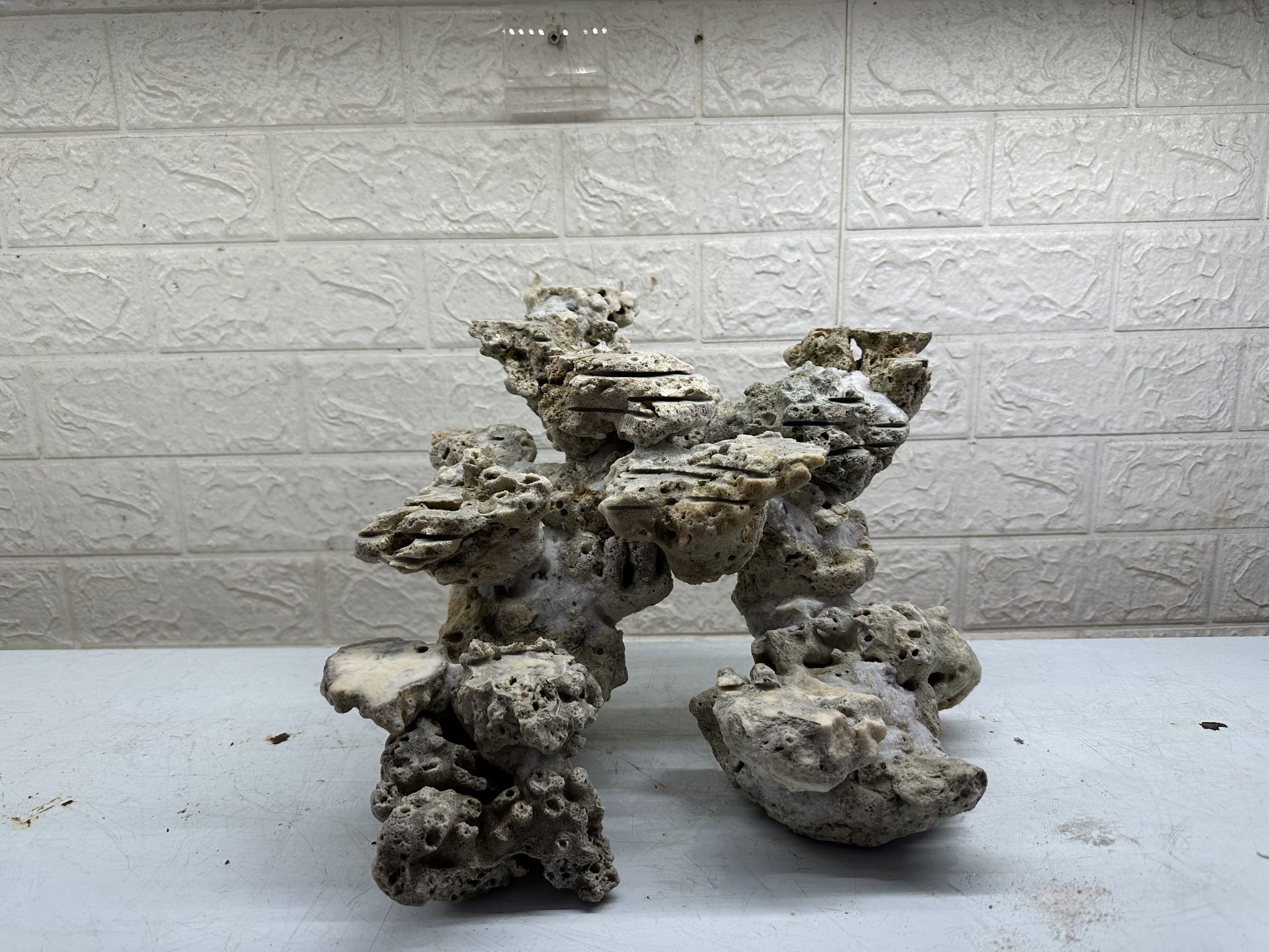 MÃ 475 – LAYOUT CÁ CẢNH BIỂN BỂ 30CM – CƯỜNGAQUARIUM