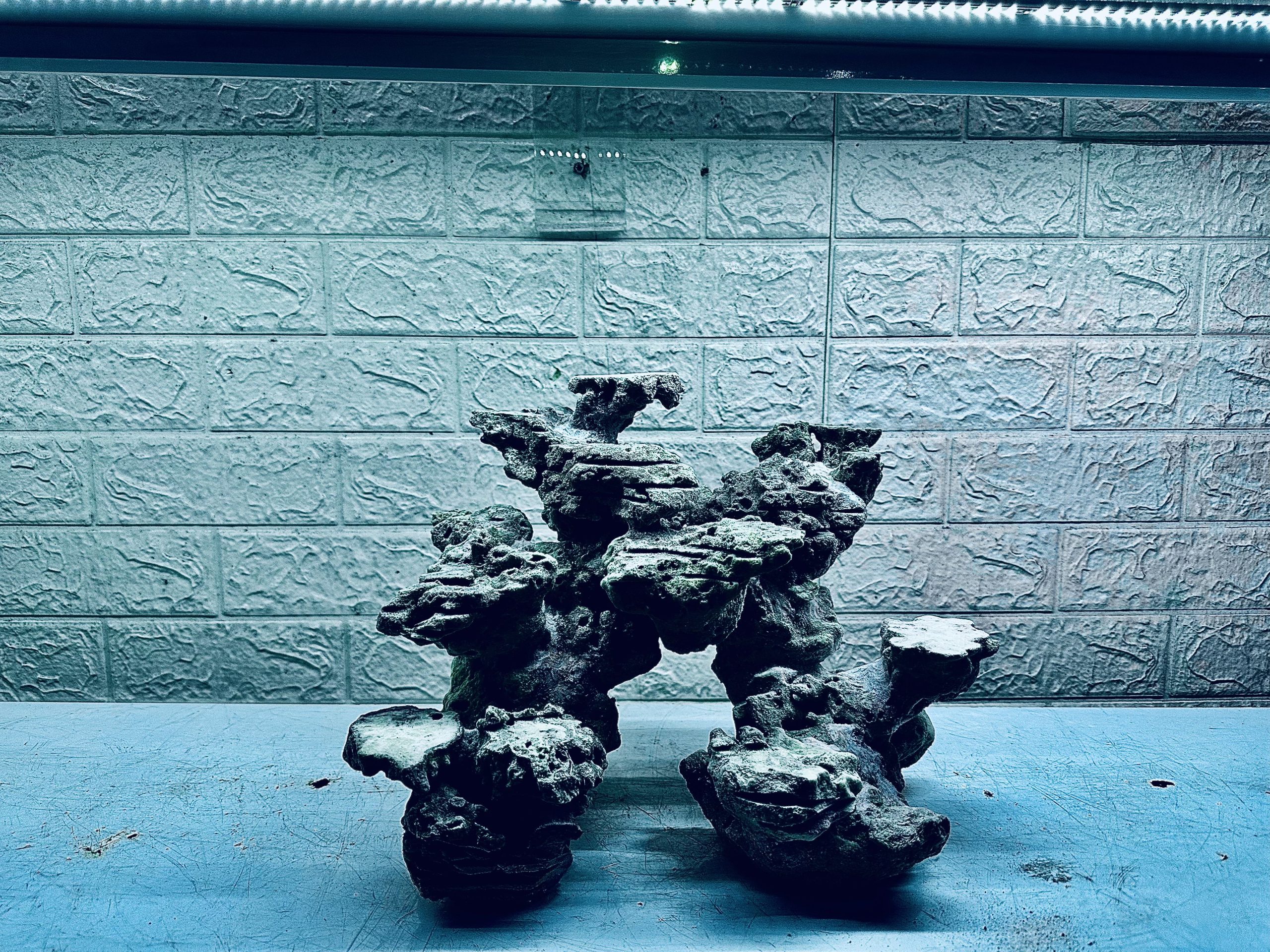 MÃ 477 – LAYOUT CÁ CẢNH BIỂN BỂ 40CM – CƯỜNGAQUARIUM