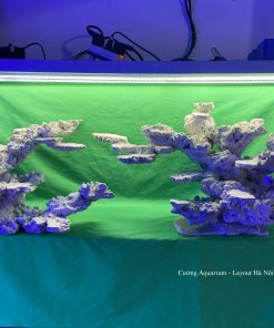 MÃ 62 - LAYOUT CÁ BIỂN BỂ 150CM - ROYALAQUA