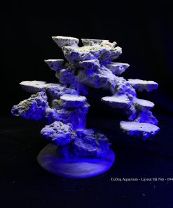 MÃ 78 - LAYOUT CÁ CẢNH BIỂN BỂ 40CM - ROYALAQUA