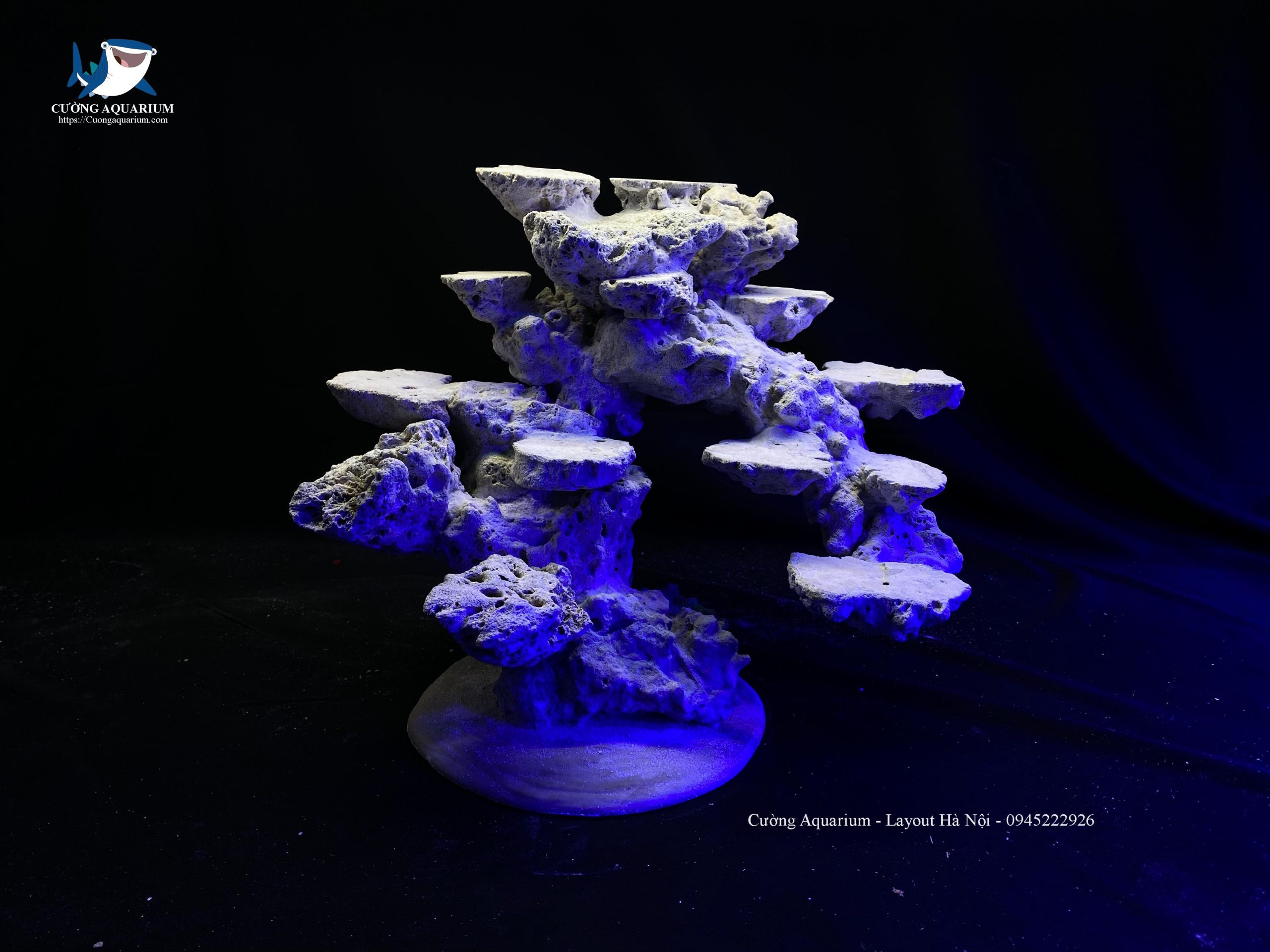 layout-ca-canh-bien-cuongaquarium (125)