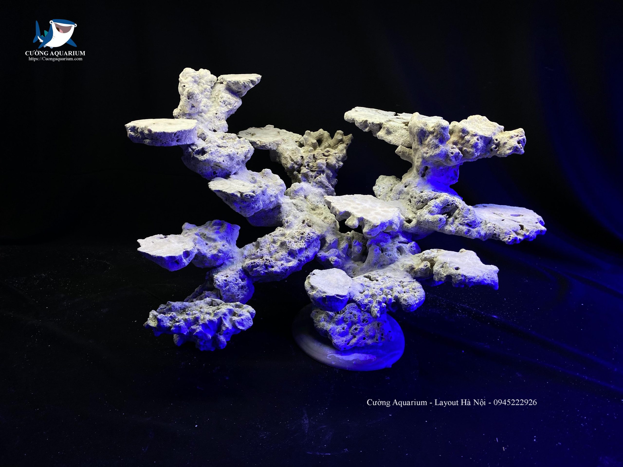 layout-ca-canh-bien-cuongaquarium (130)