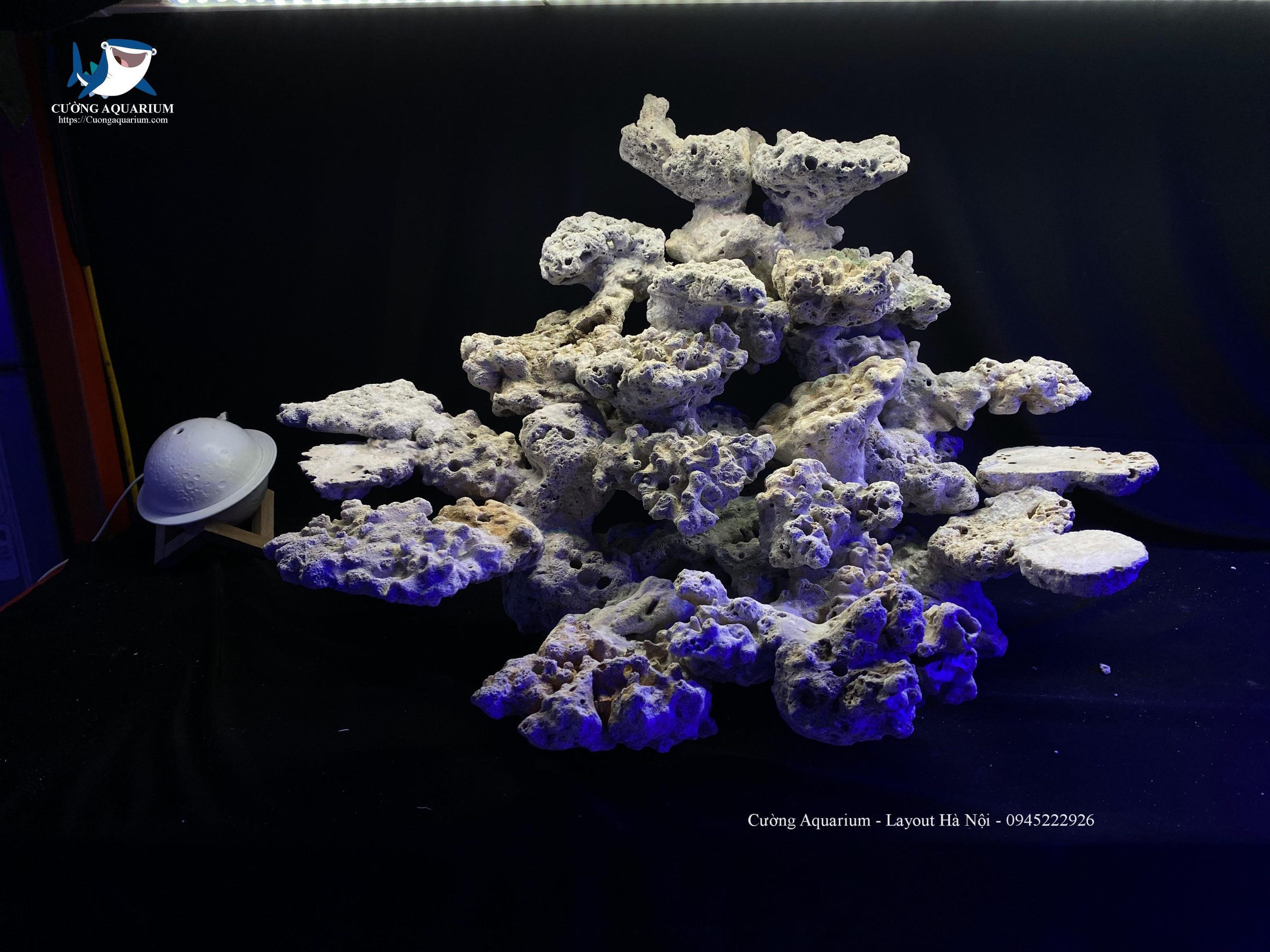 layout-ca-canh-bien-cuongaquarium (135)