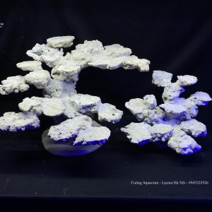 MÃ 83 - LAYOUT CÁ CẢNH BIỂN BỂ 90CM - ROYALAQUA