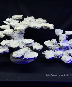 MÃ 83 - LAYOUT CÁ CẢNH BIỂN BỂ 90CM - ROYALAQUA