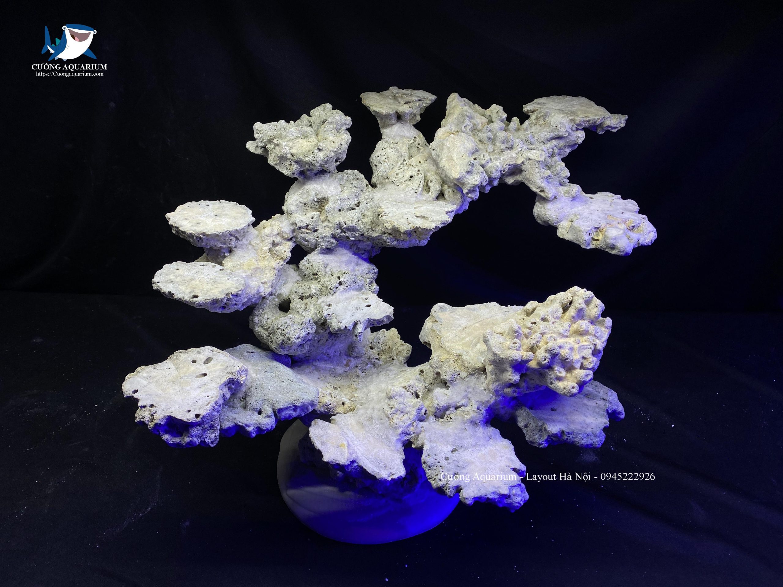 layout-ca-canh-bien-cuongaquarium (159)