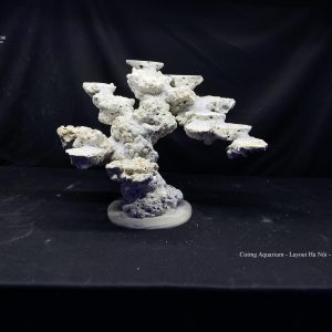 MÃ 87 - LAYOUT CÁ BIỂN BỂ 45CM - ROYALAQUA