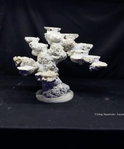 MÃ 87 - LAYOUT CÁ BIỂN BỂ 45CM - ROYALAQUA