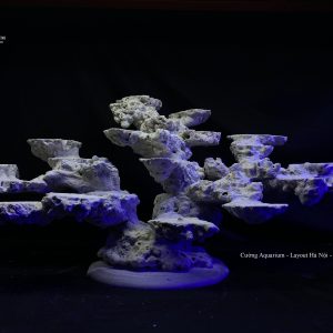 MÃ 89 - LAYOUT CÁ CẢNH BIỂN BỂ 70CM - ROYALAQUA
