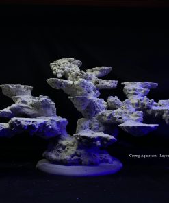 MÃ 89 - LAYOUT CÁ CẢNH BIỂN BỂ 70CM - ROYALAQUA